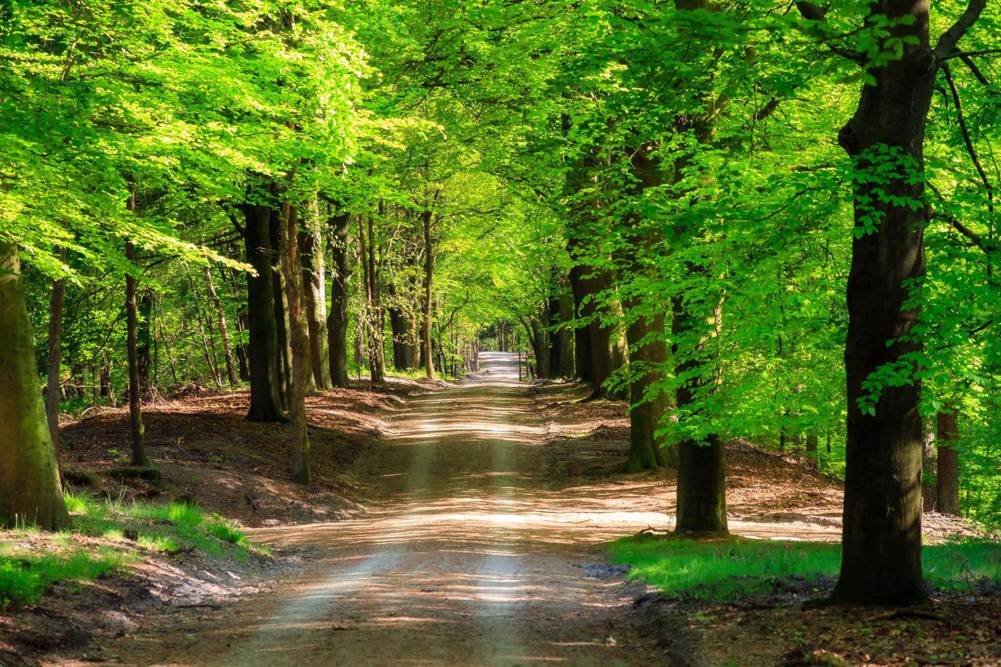 Serendipity - Nature In Luxury Beekbergen Εξωτερικό φωτογραφία